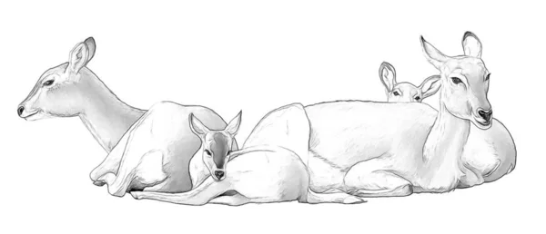 Scena kreskówki z Koba liczi Safari zwierząt-szkicownikowce kolorowanka-ilustracja dla dzieci — Zdjęcie stockowe