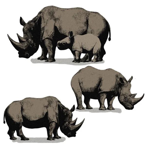 Escena de dibujos animados con safari de rinocerontes ilustración de animales para niños —  Fotos de Stock