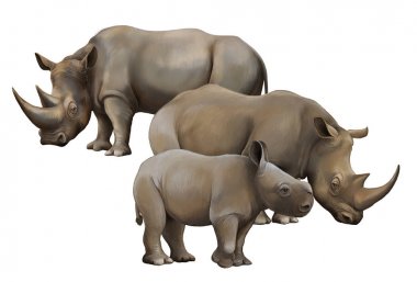 çocuklar için gergedan safari hayvan illüstrasyon ile karikatür sahnesi