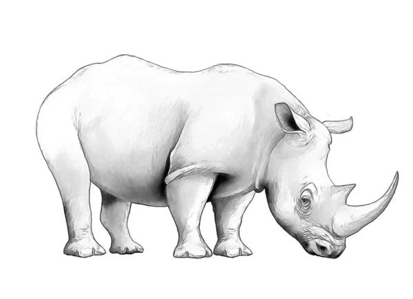 Cartoon-Szene mit Nashorn-Safari Tier Malvorlagen für Kinder — Stockfoto