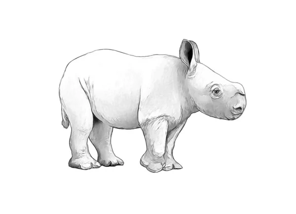 Cartoon scene with rhinoceros safari animal coloring page illustration for children — Stock Photo, Image