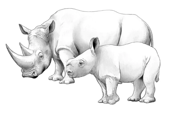 Cartoon scene with rhinoceros safari animal coloring page illustration for children — Stock Photo, Image