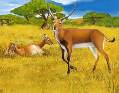 çocuklar için çayır safari illüstrasyon koba lychee ile karikatür sahnesi