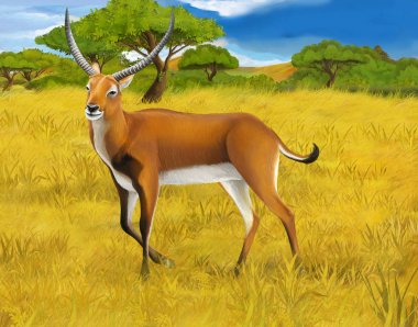 çocuklar için çayır safari illüstrasyon koba lychee ile karikatür sahnesi