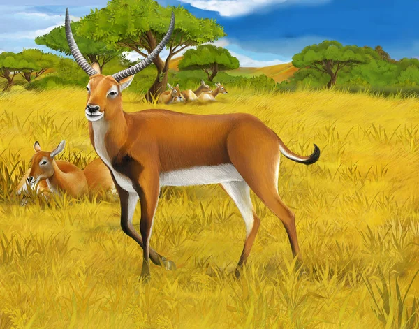 Scena del fumetto con litchi di koba sul prato safari illustrazione per bambini — Foto Stock