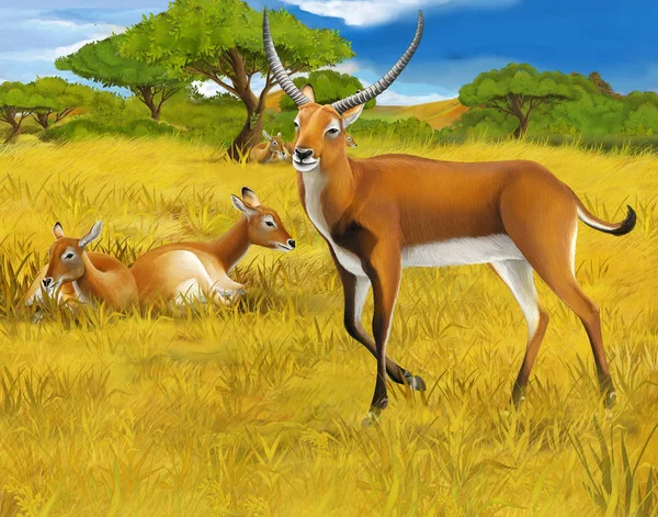 Cartoon scene with koba lychee on the meadow safari illustration for children — Stock Photo, Image