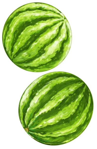 Cartoon Watermelon Set White Background Illustration Children — Stock Photo, Image