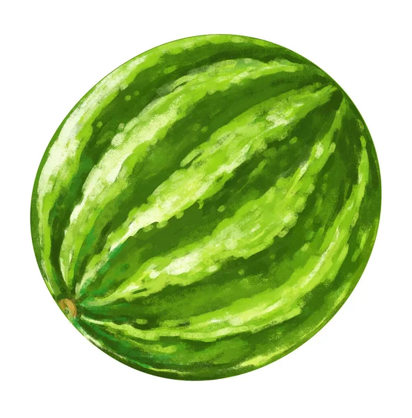 Tecknad Vattenmelon Vit Bakgrund Illustration För Barn — Stockfoto