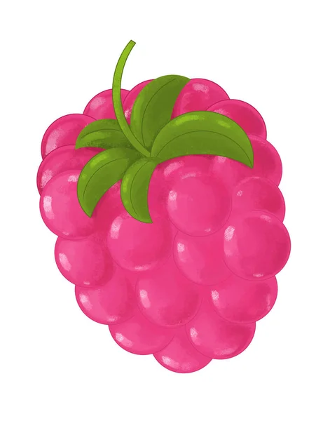 Cartoon Fruit Raspberry White Background Illustration Children — Stock Photo, Image