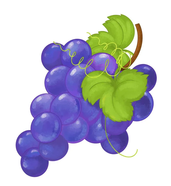 Cartoon Fruit Grapes White Background Illustration Children — Stock Photo, Image