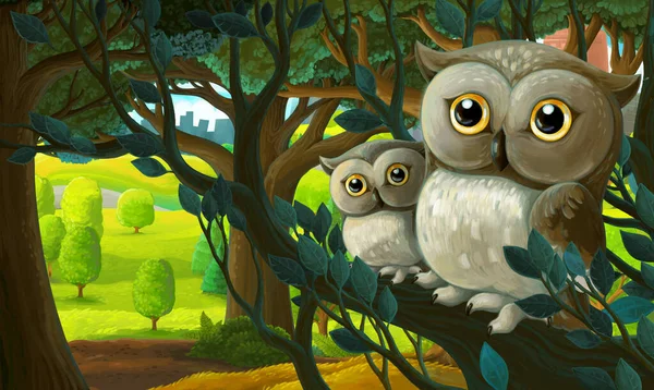 cartoon scene in park outside the city with owl on the tree illustration for children