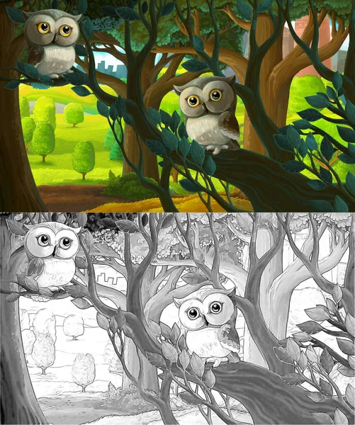 cartoon scene with sketch in park outside the city with owl on the tree illustration for children