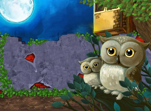 Scena Kreskówek Jakąś Rezydencją Nocy Wejściem Ogrodu Ilustracja Dla Dzieci — Zdjęcie stockowe