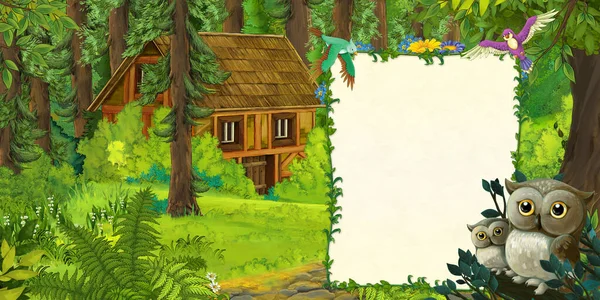 Kreskówkowa Letnia Scena Głębokim Lasem Rodziną Sów Ilustracja Dla Dzieci — Zdjęcie stockowe