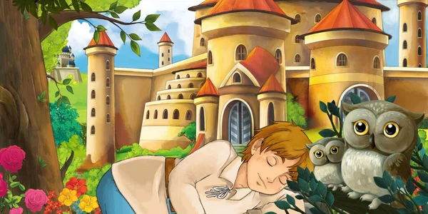 Cartoon Scene Owls Beautiful Castle Forest Handsome Young Boy Illustration — Stock Photo, Image