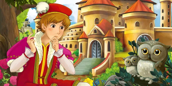 Cartoon Scene Owls Beautiful Castles Forest Handsome Young Prince Illustration — Stock Photo, Image
