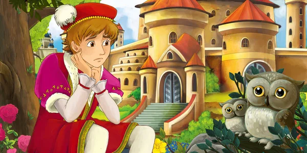 Cartoon Scene Owls Beautiful Castles Forest Handsome Young Prince Illustration — Stock Photo, Image