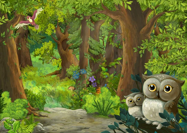 Escena Dibujos Animados Con Búhos Bosque Camino Algún Lugar Ilustración —  Fotos de Stock