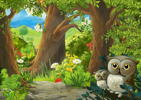 Cartoon Szene Mit Eulen Wald Und Weg Dorthin Illustration Für — Stockfoto