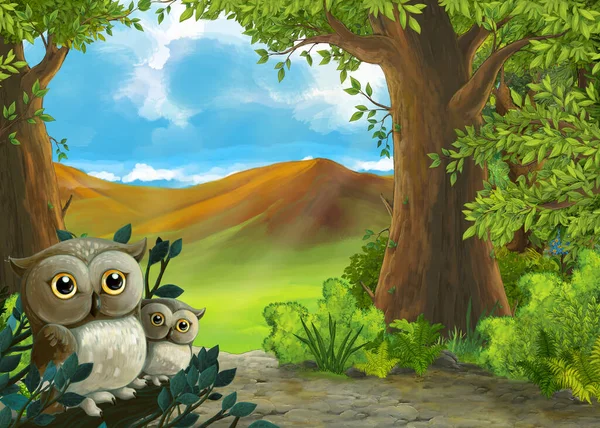 Scena Kreskówkowa Sowami Lesie Droga Dokądś Ilustracja Dla Dzieci — Zdjęcie stockowe