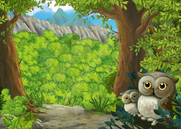 Ormanda Baykuşların Olduğu Çizgi Film Sahnesi Vadiye Giden Yol Çocuklar — Stok fotoğraf