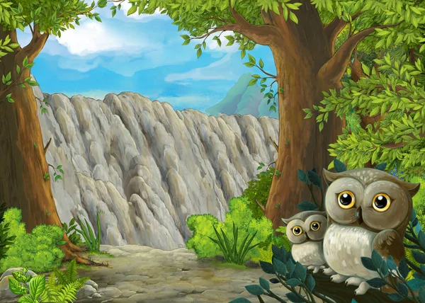 森林里有猫头鹰的卡通场景和通向山谷的道路 儿童图解 — 图库照片