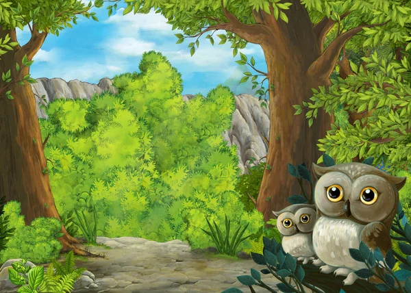 森の中のフクロウと漫画のシーンとどこかへのパス 子供のためのイラスト — ストック写真