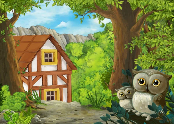 Scena Kreskówkowa Sowami Lesie Ścieżka Rancza Ilustracja Dla Dzieci — Zdjęcie stockowe