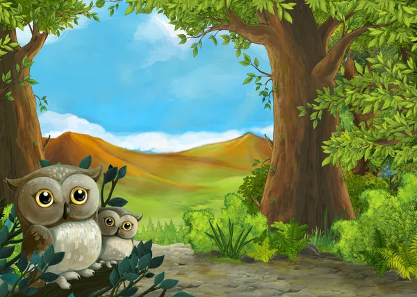 Scena Kreskówkowa Sowami Lesie Ścieżka Doliny Ilustracja Dla Dzieci — Zdjęcie stockowe