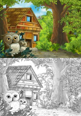 Ormanda baykuşların olduğu çizgi film sahnesi ve çiftlik yolu - çocuklar için illüstrasyon