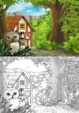 Ormanda baykuşların olduğu çizgi film sahnesi ve çiftlik yolu - çocuklar için illüstrasyon