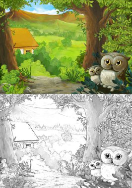 Ormanda baykuşların olduğu çizgi film sahnesi ve çiftlik yolu - çocuklar için illüstrasyon
