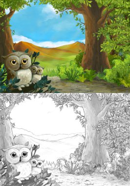 Ormanda baykuşların olduğu çizgi film sahnesi ve vadiye giden yol - çocuklar için illüstrasyon