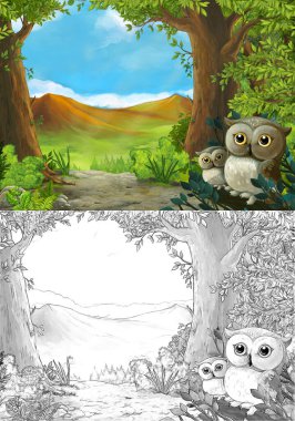 Ormanda baykuşların olduğu çizgi film sahnesi ve vadiye giden yol - çocuklar için illüstrasyon