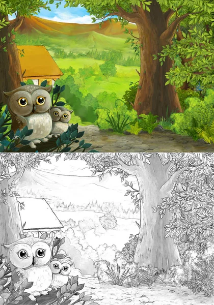 Kreslená Scéna Sovy Lese Cesta Farmářský Ranč Ilustrace Pro Děti — Stock fotografie