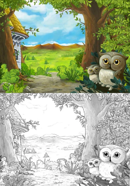 Kreslená Scéna Sovy Lese Cesta Údolí Ilustrace Pro Děti — Stock fotografie