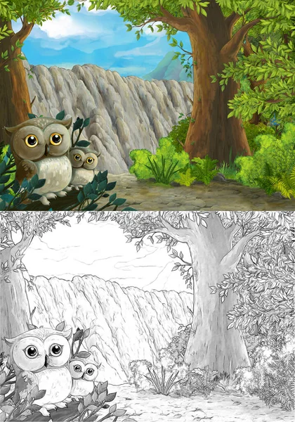 Kreslená Scéna Sovy Lese Cesta Údolí Ilustrace Pro Děti — Stock fotografie