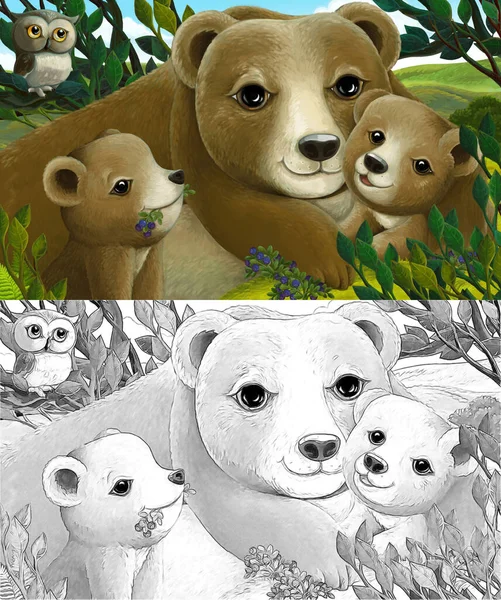 Cartoon scene with family of bears and owl in the forest - illustration for children