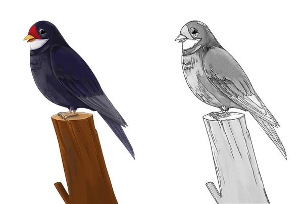 Karikatür Peri Masalı Çizimi Hayvan Beyaz Arka Planda Guguk Kuşu — Stok fotoğraf