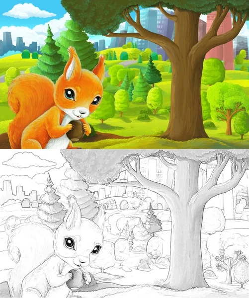 cartoon sketch scene in park outside the city with squirrel holding nut illustration for children