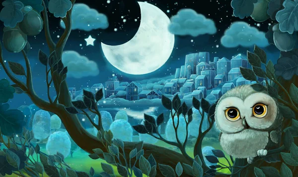 Scena Rysunkowa Sową Lesie Nocą Ilustracja Dla Dzieci — Zdjęcie stockowe