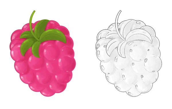 Cartoon Fruit Framboos Witte Achtergrond Illustratie Voor Kinderen — Stockfoto