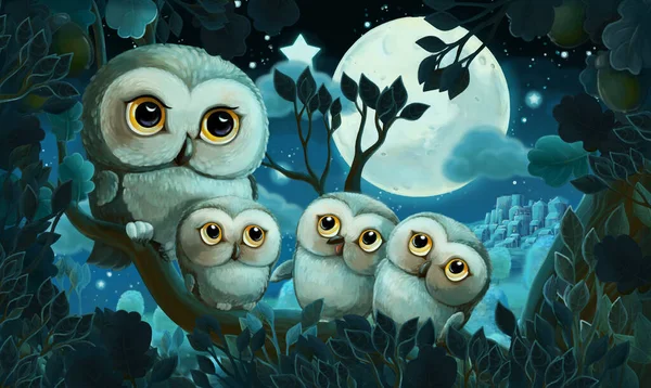 Escena Dibujos Animados Con Búho Bosque Por Noche Ilustración Para — Foto de Stock