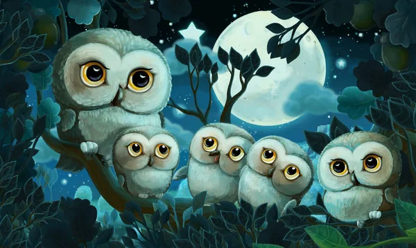 Imagen Dibujos Animados Con Búho Bosque Por Noche Ilustración Para — Foto de Stock