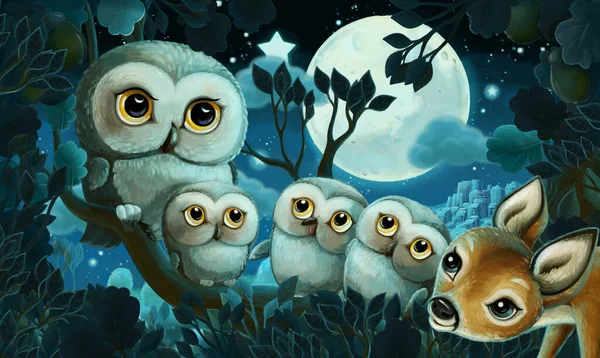 Imagen Dibujos Animados Con Búho Bosque Por Noche Ilustración Para — Foto de Stock