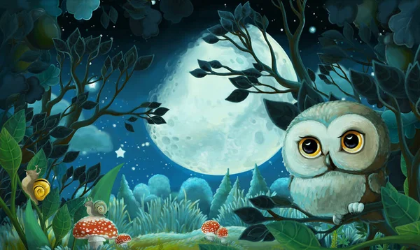 Imagen Dibujos Animados Con Bosque Por Noche Ilustración Para Niños — Foto de Stock