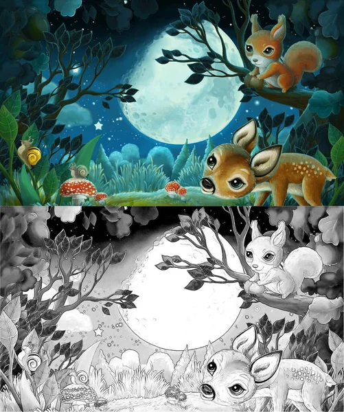 Zeichentrick Sketch Szene Mit Waldtieren Bei Nächtlichem Eichhörnchen Fuchs Eule — Stockfoto