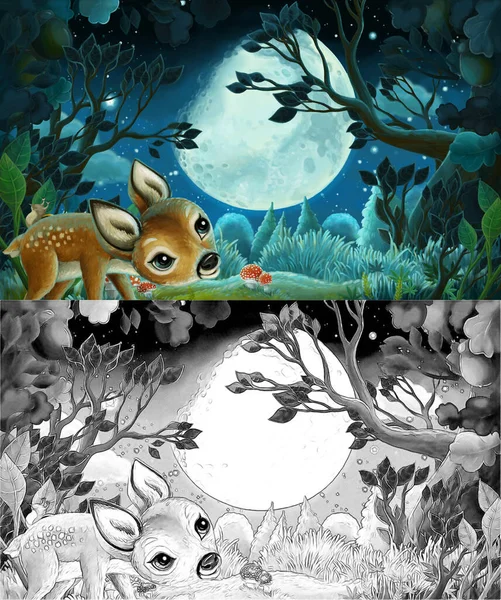 Desene Animate Scena Pădure Noapte Ilustrație Pentru Copii — Fotografie, imagine de stoc