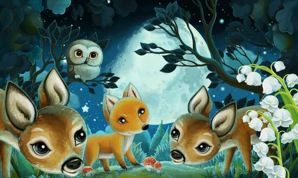 Rysunkowy Obraz Zwierzętami Leśnymi Nocą Sowa Lisia Wiewiórka Ilustracja Dla — Zdjęcie stockowe