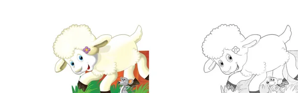 Cartone Animato Fattoria Felice Ranch Animale Pecore Allegro Con Schizzo — Foto Stock